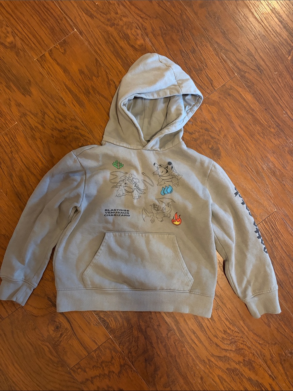 Boys Gray Pokemon Graphic Hoodie with Element Icons